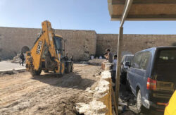 Buldozer-in-the-Cows-Garden